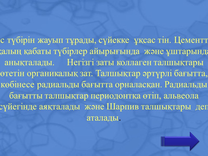 Тіс түбірін жауып тұрады, сүйекке  ұқсас тін. Цементтің қалың қабаты түбірлер айырығында 